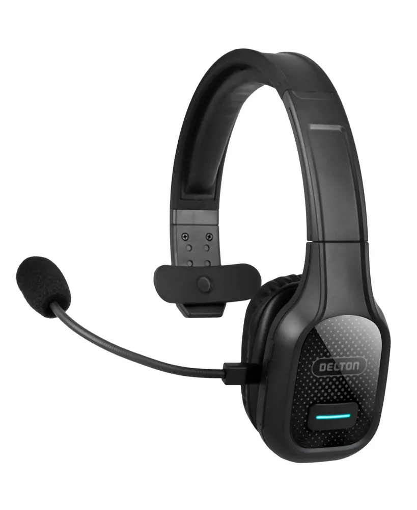 Delton 20X Professional Computer Headset