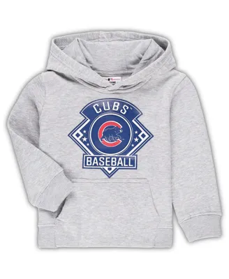 Toddler Boys and Girls Heather Gray Chicago Cubs Fence Swinger Pullover Hoodie