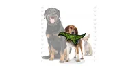 Tuffy Jr Dinosaur TRex, 2-Pack Dog Toys