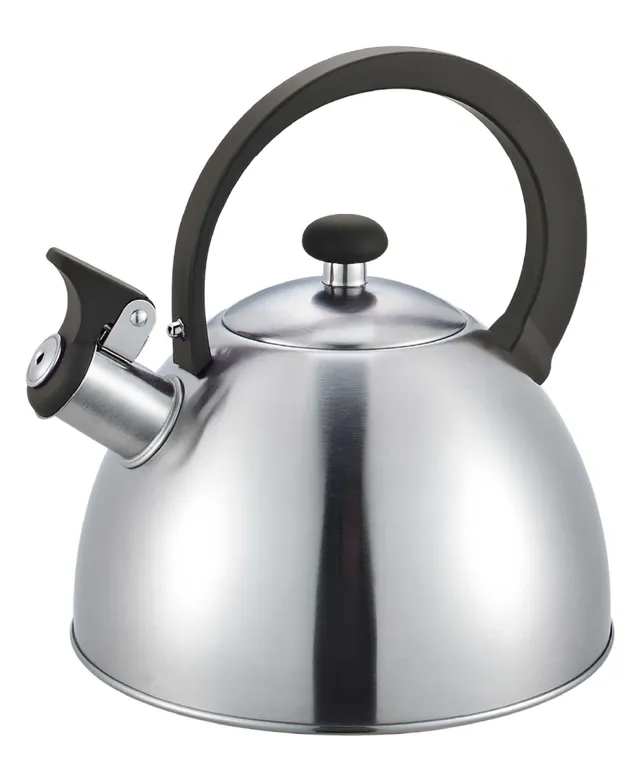 Everyday Solutions Stainless Steel Vine 2-qt. Tea Kettle, Color: Stainless  Steel - JCPenney