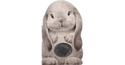Furry Bunny by Annie Auerbach