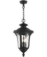 Livex Oxford 3 Light Outdoor Pendant Lantern
