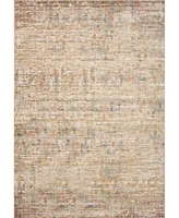 Loloi Arden Ard-04 9' x 12' Area Rug