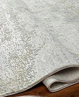 Livabliss Brunswick Bwk 2325 Area Rug