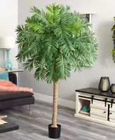 Nearly Natural 80" Robellini Palm Artificial Tree