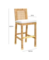 Tov Furniture Amara Rattan Bar Stool