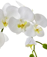 Nearly Natural Artificial Phalaenopsis Orchid in Ceramic Pot