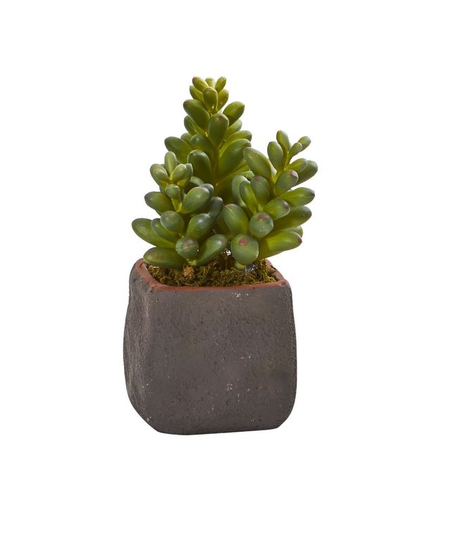 Nearly Natural Trio of Artificial Succulent Plants, Set of 3