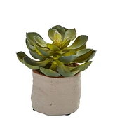 Nearly Natural Mixed Succulent Artificial Plant, Set of 4