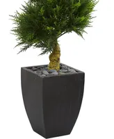 Nearly Natural 5.5' Cypress Spiral Artificial Tree in Black Wash Planter Uv Resistant