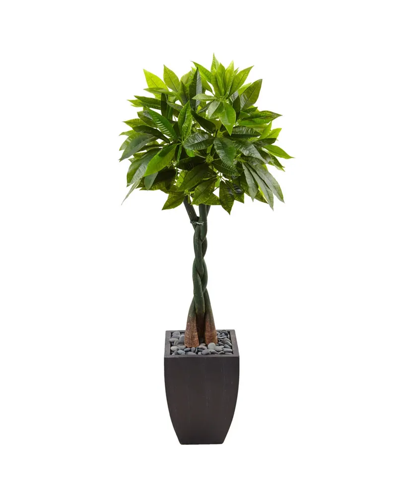 Nearly Natural 5' Money Artificial Tree in Black Square Planter