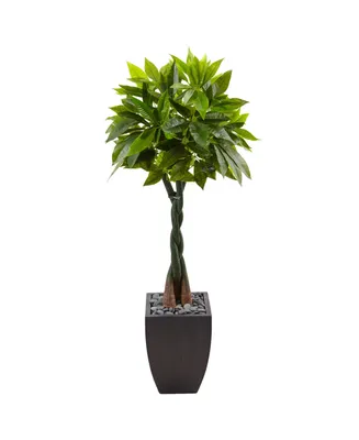 Nearly Natural 5' Money Artificial Tree in Black Square Planter