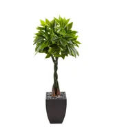 Nearly Natural 5' Money Artificial Tree in Black Square Planter