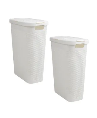Mind Reader Basket Collection, Slim Laundry Hamper, 40 Liter 15kg, 33lbs Capacity, Cut Out Handles, Attached Hinged Lid, Ventilated, Set of 2
