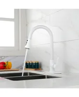 Kitchen Faucet With Pull Out Sprayer