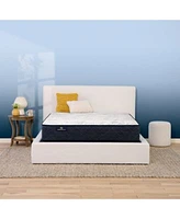 Serta Perfect Sleeper Adoring Night 10.5 Plush Mattress Collection