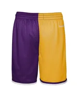 Big Boys and Girls Mitchell & Ness Gold, Purple Los Angeles Lakers Hardwood Classics Face 5.0 Shorts