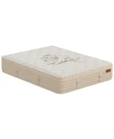 King Koil Natural Azalea Luxury Firm 15.5" HyBrid Mattress