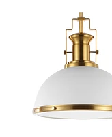 Homer 13" 1-Light Modern Industrial Iron Led Dome Pendant