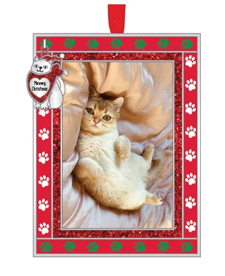 Frame Ornament Cat 'Meowy Christmas'