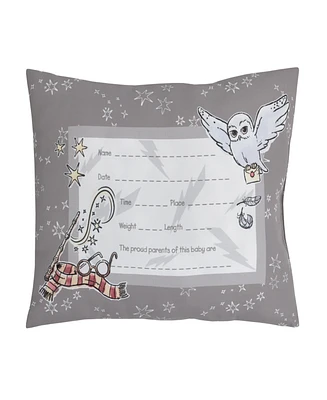 Warner Brothers Harry Potter Magical Moments Pillow, 11" x 4"