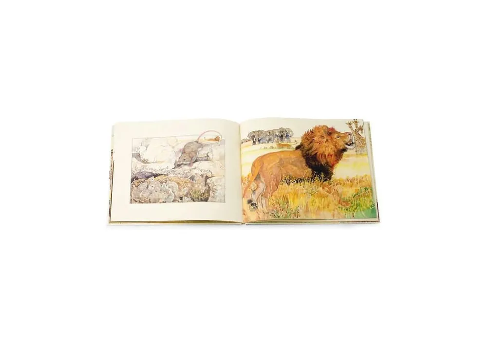 The Lion the Mouse Caldecott Medal Winner by Jerry Pinkney