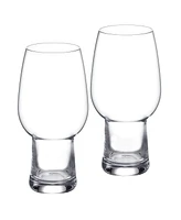 Waterford Craft Brew 2 Piece Ipa Glass Set, 16 oz