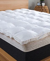 Beyond Down Fiberbed, Twin Xl