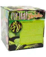 Unique Gardener Glass Terrarium Fly Trap Garden Plant Kit