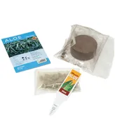 Unique Gardener Seed Squares Altruistic Aloe Plant Kit