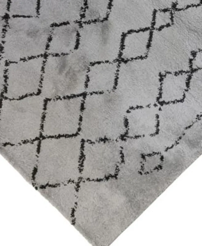 Amer Rugs Asp4 Area Rug