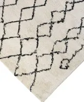 Amer Rugs Asp5 Area Rug