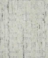 Amer Rugs Houston Hou1 Area Rug