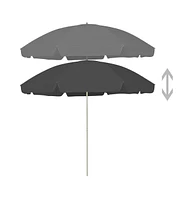 vidaXL Beach Umbrella Anthracite 118.1"