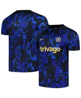 Men's Nike Blue Chelsea 2023/24 Academy Pro Pre-Match Top