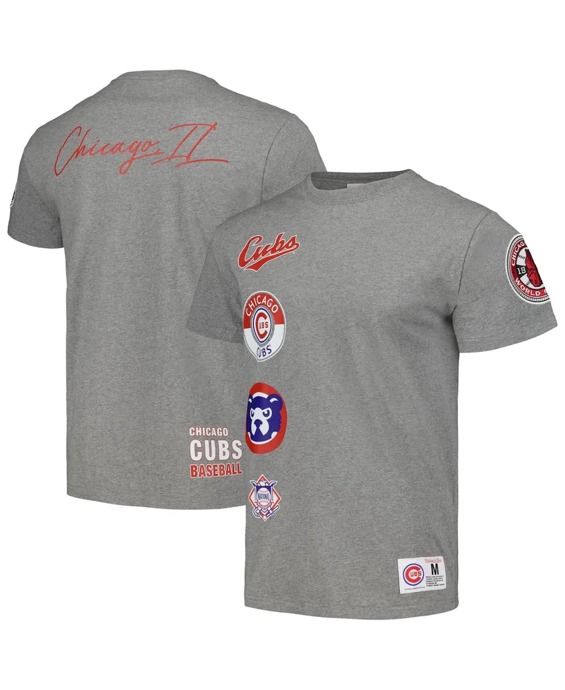 Mitchell & Ness Atlanta Braves City Collection T-Shirt - Gray - S Each