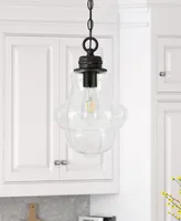 Hudson & Canal Annie 9.13" Glass Shade Wide Pendant