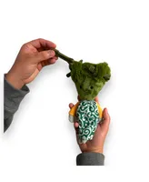 Broccoli Nose Work Dog Toy