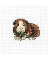 Larky Lucky H258 Counted Cross Stitch Kit - Assorted Pre