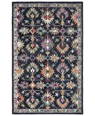 Safavieh Aurora APN135 3' x 5' Area Rug