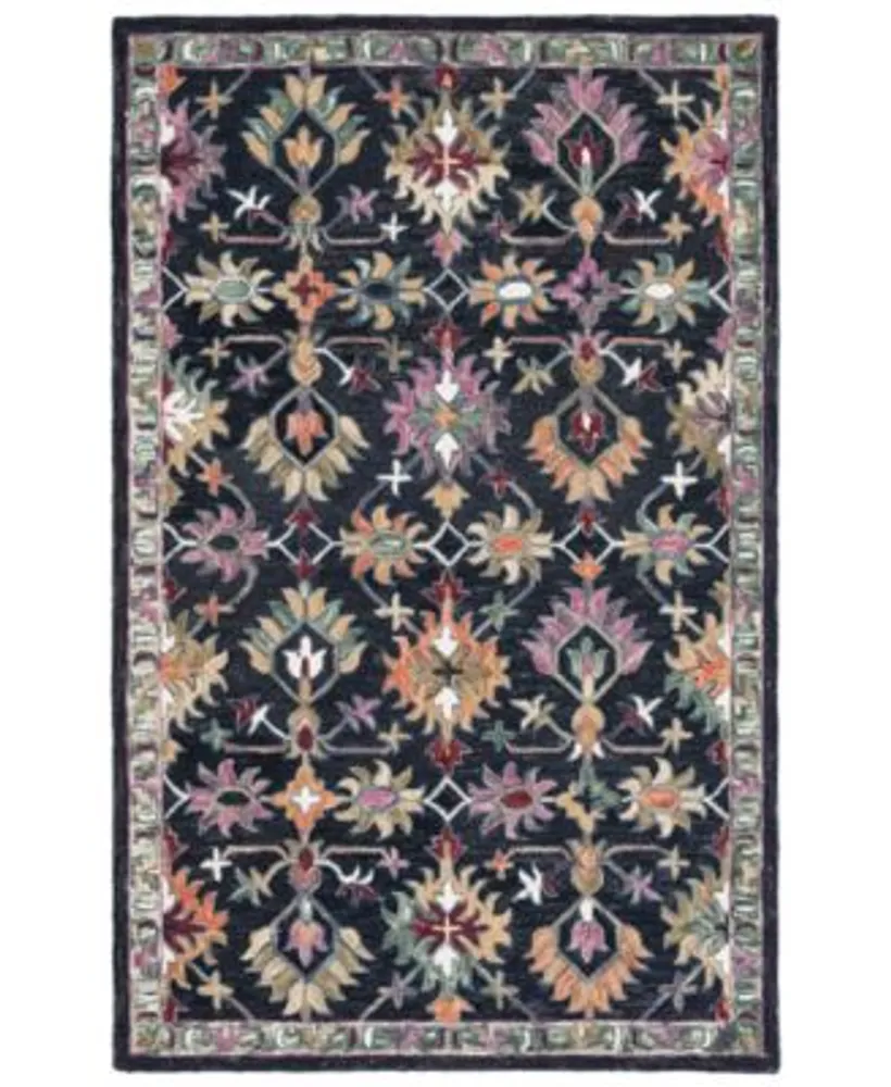 Safavieh Aurora Apn135 Area Rug