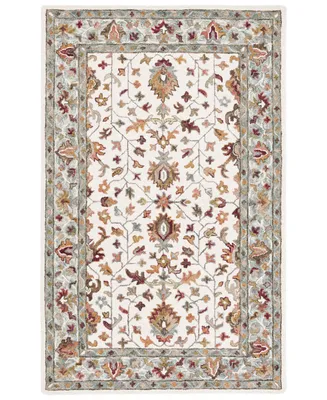 Safavieh Aurora APN143 4' x 6' Area Rug