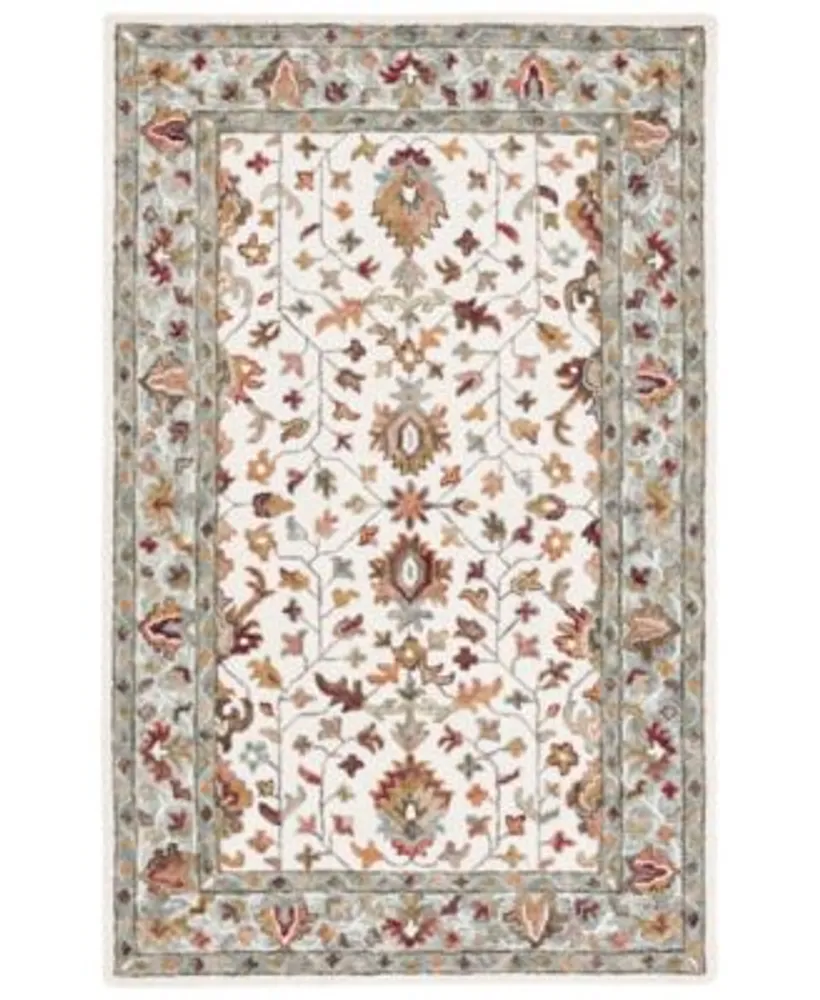 Safavieh Aurora Apn143 Area Rug