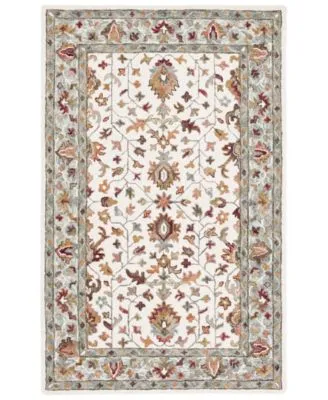 Safavieh Aurora Apn143 Area Rug