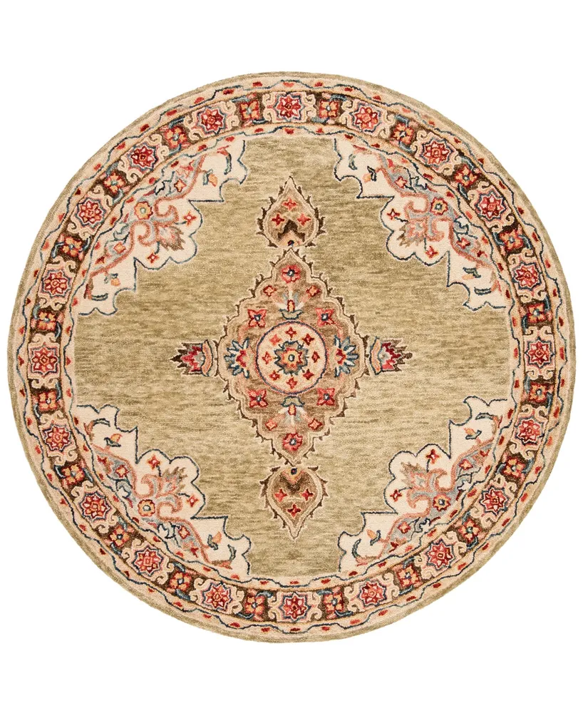 Safavieh Aurora APN506 5' x 5' Round Area Rug