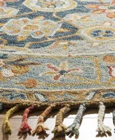 Safavieh Aurora Apn110 Area Rug