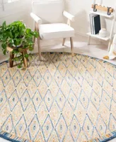 Safavieh Aurora Apn808 Area Rug