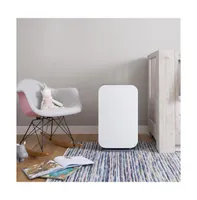 Alen BreatheSmart 45i Air Purifier with Odor, True Hepa Filter for Allergens, Pet, Diaper and other Unwanted Odors