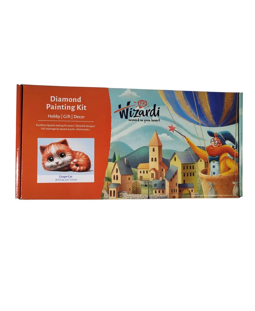 Wizard Diamond Painting Kit