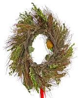 National Tree Company 22" Boxwood Holiday Wreath